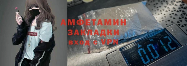 прущие грибы Лабытнанги