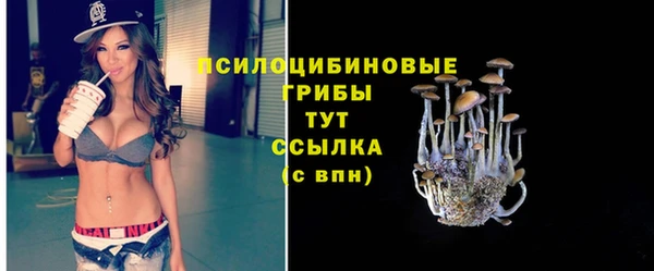 герыч Лиски