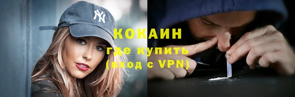 гашик Липки