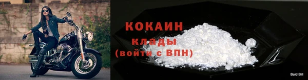 гашик Липки